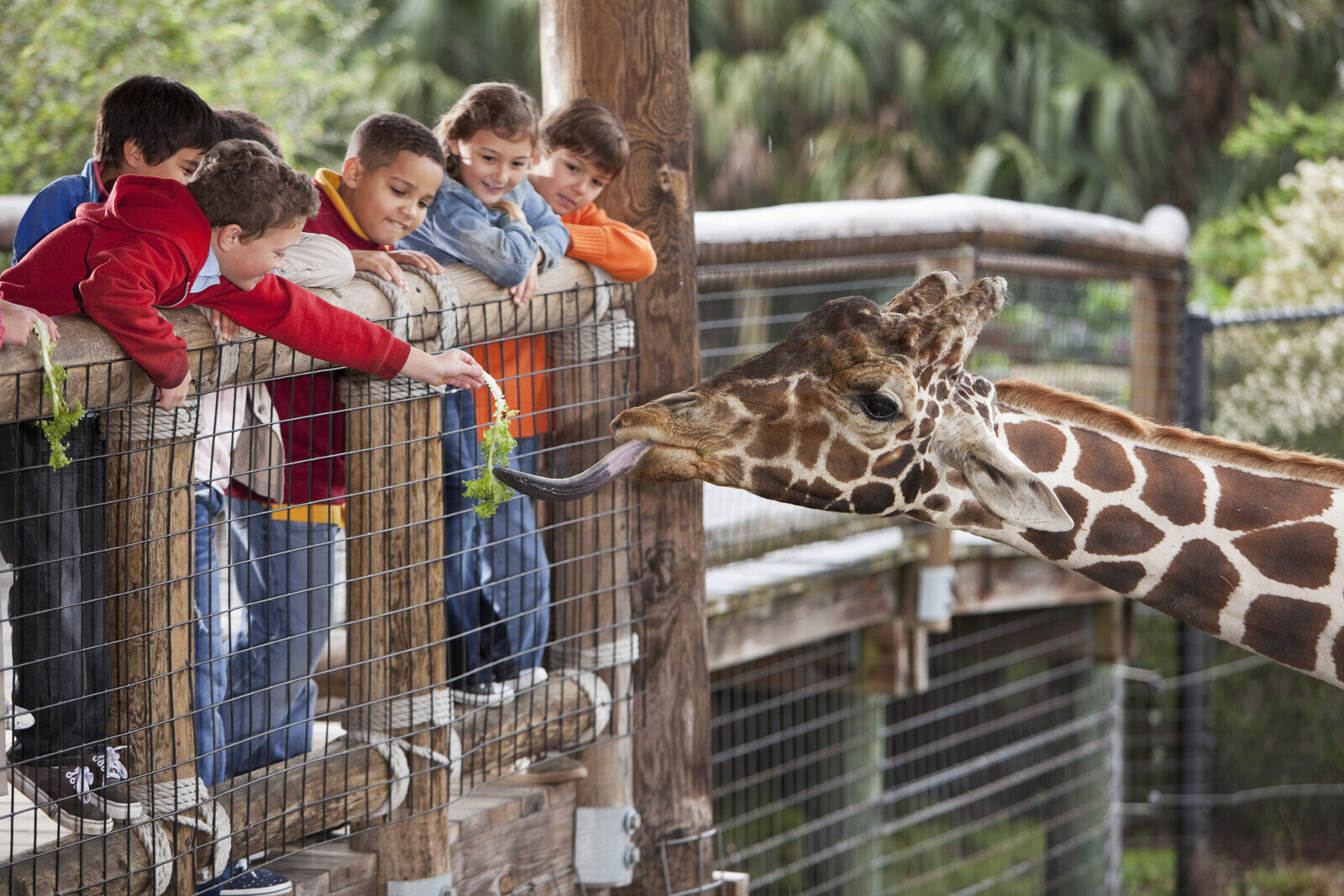 Children enjoying time at the zoo