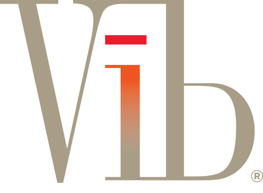 Vib Tempe Hotel Logo